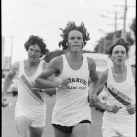 Mt Maunganui harriers
