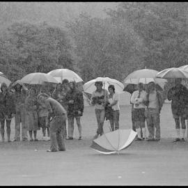 Crowds at Tauranga Domain athletics