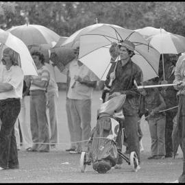 Crowds at Tauranga Domain athletics
