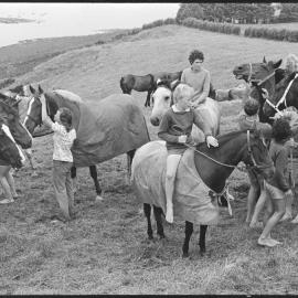 Waikato pony trekkers