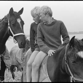 Waikato pony trekkers
