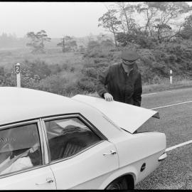 Police checkpoint - north of Tauranga