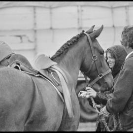 Horses and umbrellas - A&P Show