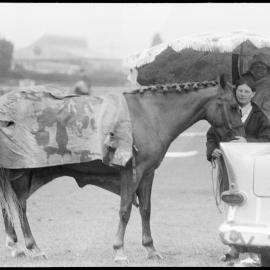 Horses and umbrellas - A&P Show