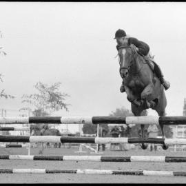 Tauranga A&P Show - showjumping