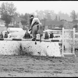 Tauranga A&P Show - showjumping