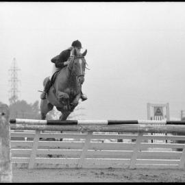 Tauranga A&P Show - showjumping