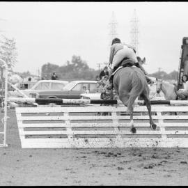 Tauranga A&P Show - showjumping