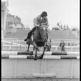 Helen Cameron - Showjumping