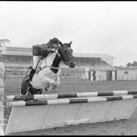 Tauranga A&P Show - showjumping