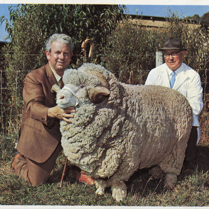 Francis Bryant Photographic Collection