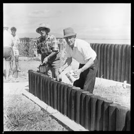 Ornamental gates at Matua
