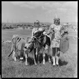 Ngaire Sheely and Sharon Paterson