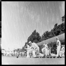 Mr A. White of Te Awamutu