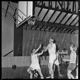 Summer league basketball