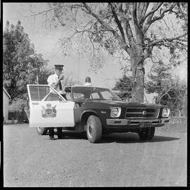 New Ministry of Transport vehicles