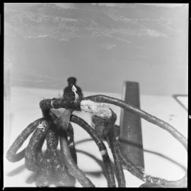 Electrical Components 