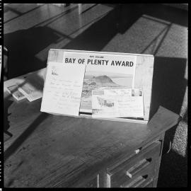 Bay of Plenty Award