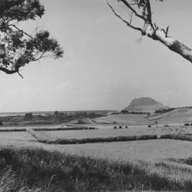 Ōtūmoetai moments in history