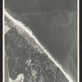 Bay of Plenty Harbour Board - Tauranga Harbour