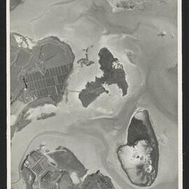 Bay of Plenty Harbour Board - Tauranga Harbour