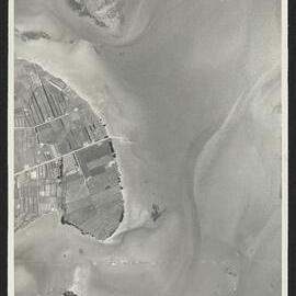 Bay of Plenty Harbour Board - Tauranga Harbour