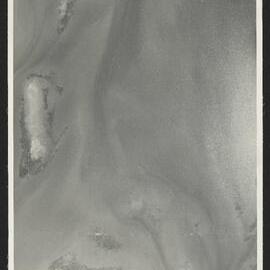 Bay of Plenty Harbour Board - Tauranga Harbour