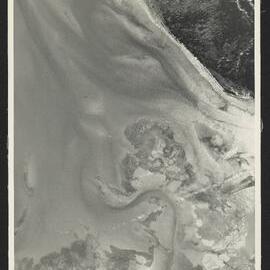 Bay of Plenty Harbour Board - Tauranga Harbour