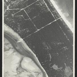 Bay of Plenty Harbour Board - Tauranga Harbour