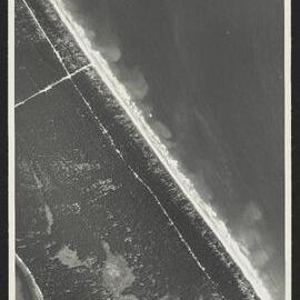 Bay of Plenty Harbour Board - Tauranga Harbour