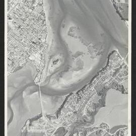 Bay of Plenty Harbour Board - Tauranga Harbour