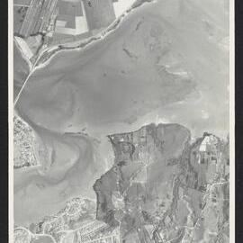 Bay of Plenty Harbour Board - Tauranga Harbour