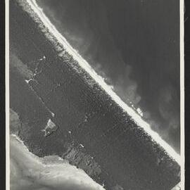 Bay of Plenty Harbour Board - Tauranga Harbour