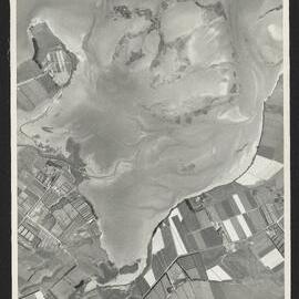 Bay of Plenty Harbour Board - Tauranga Harbour