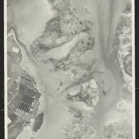 Bay of Plenty Harbour Board - Tauranga Harbour