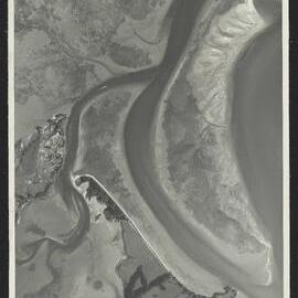 Bay of Plenty Harbour Board - Tauranga Harbour