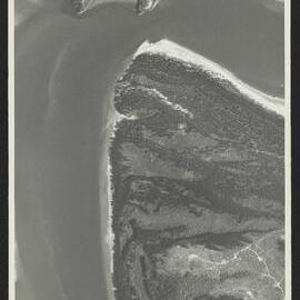 Bay of Plenty Harbour Board - Tauranga Harbour