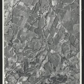 Bay of Plenty Harbour Board - Tauranga Harbour