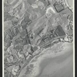 Bay of Plenty Harbour Board - Tauranga Harbour