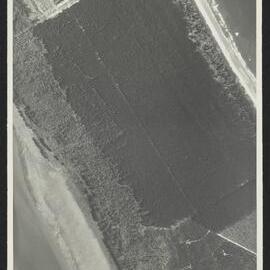 Bay of Plenty Harbour Board - Tauranga Harbour