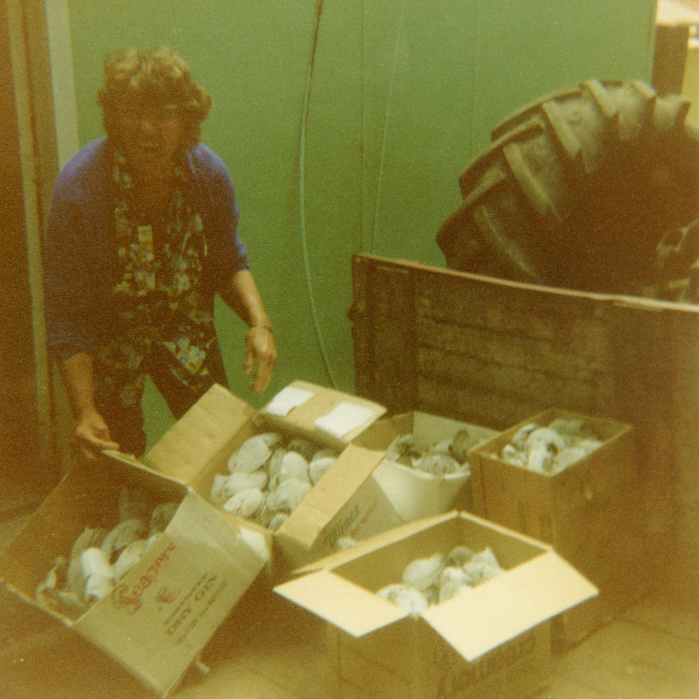 Mavis Stanton's Tūhua (Mayor Island) album