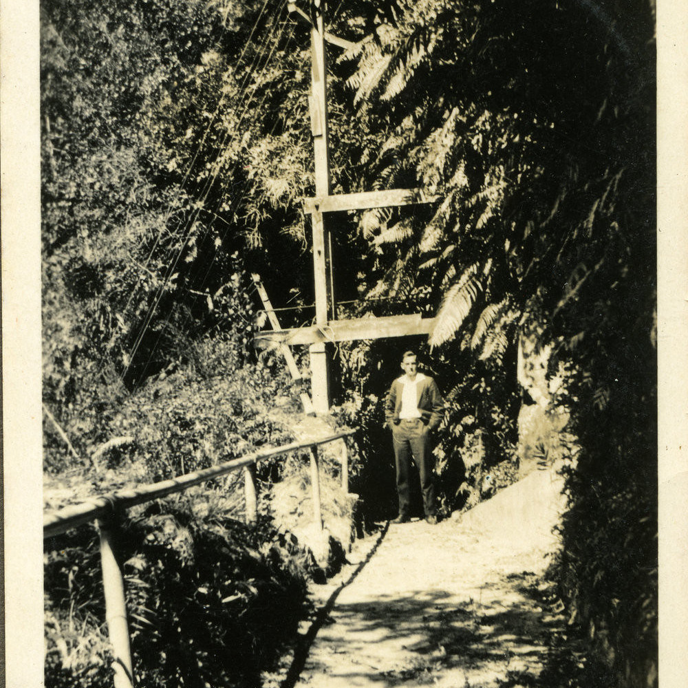 George James Strickett's album
