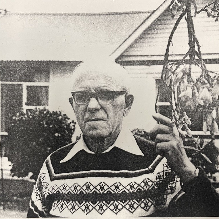 Denniston, William John (Bill), 1903-1996 (Person)