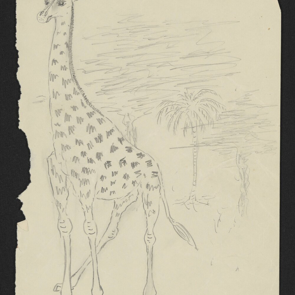 The imagination of Michael Hodgkins