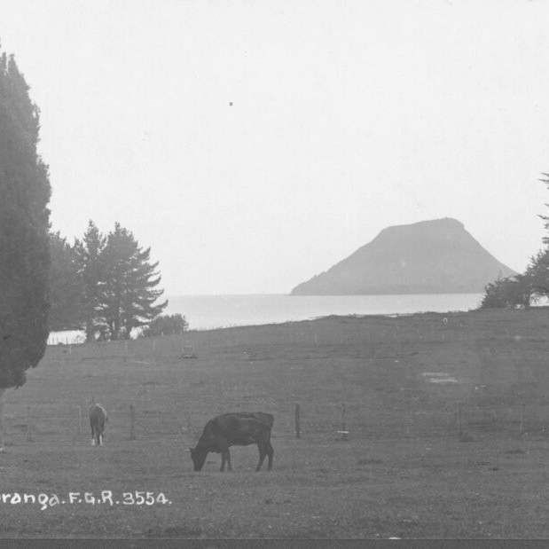 F.G.R. postcards