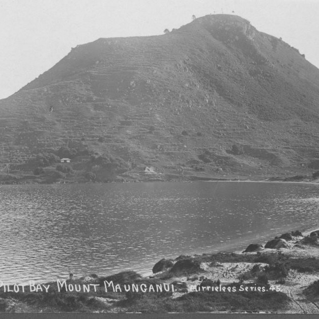 Mirrielees postcards