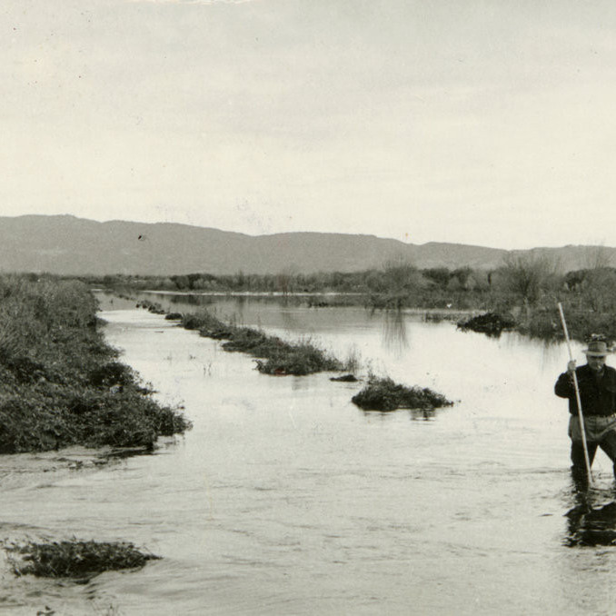 Kaituna Cut, 1956