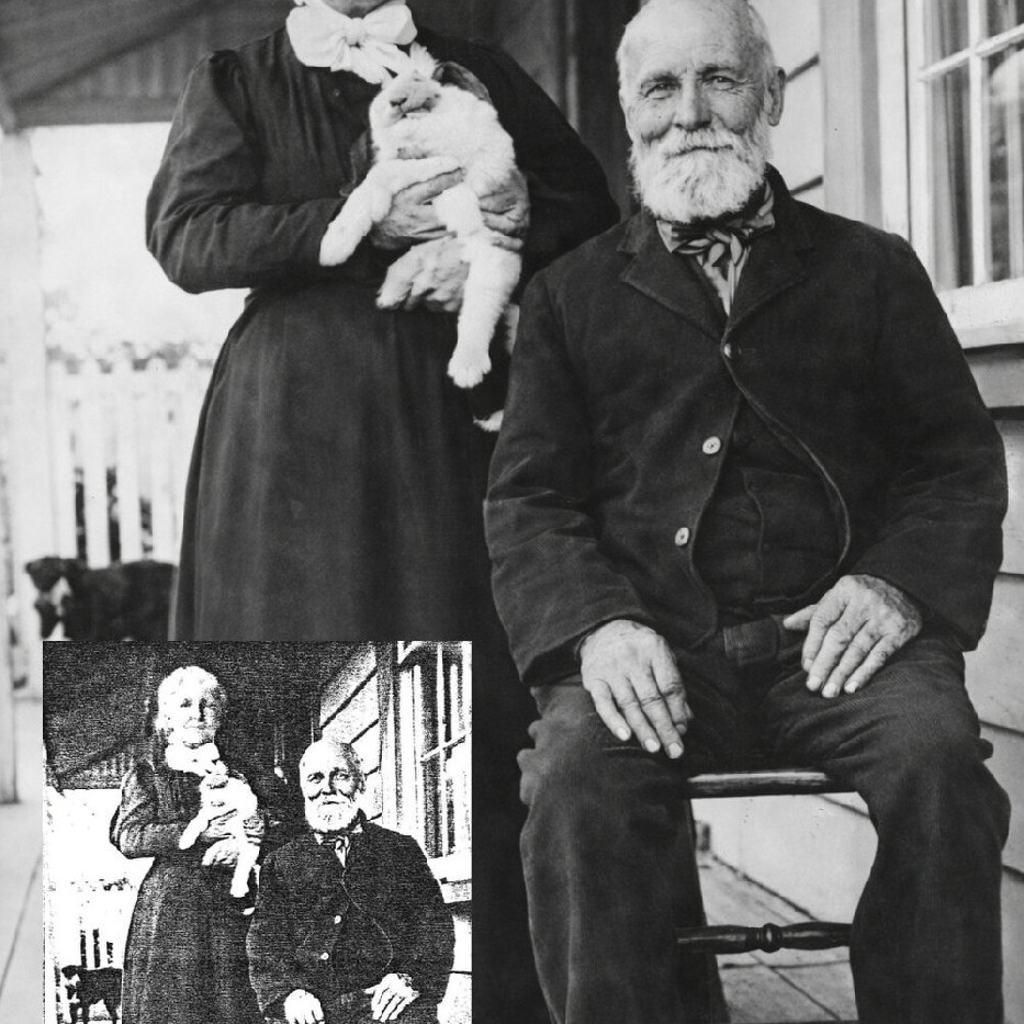 Harvey, William, 1832-1917 (Person)