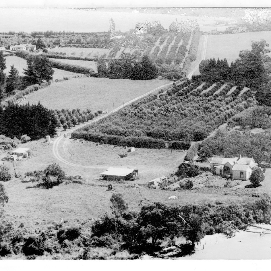 Welcome Bay Settlers’ Association Inc. 1949-c.1980 (Organisation)