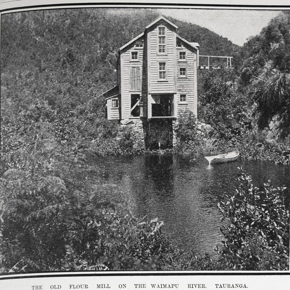 Water powered mills in the Bay of Plenty